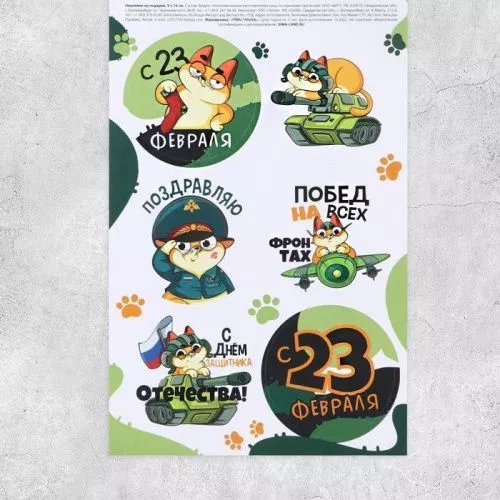 Наклейки «23 февраля», кот, 9*16см, лист